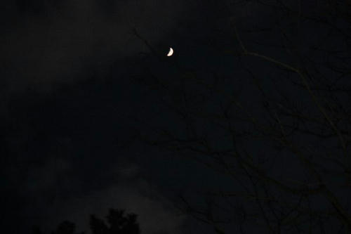 IMG_1177.JPG