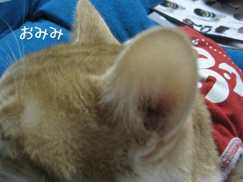 055cdb89.JPG