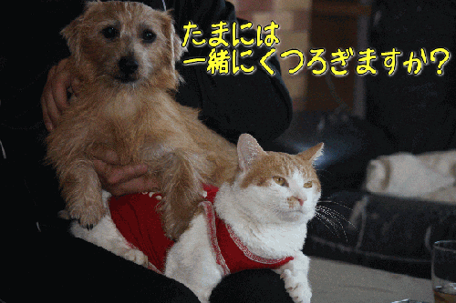 28120a96.gif