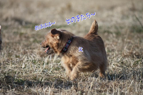938b7f3d.jpg