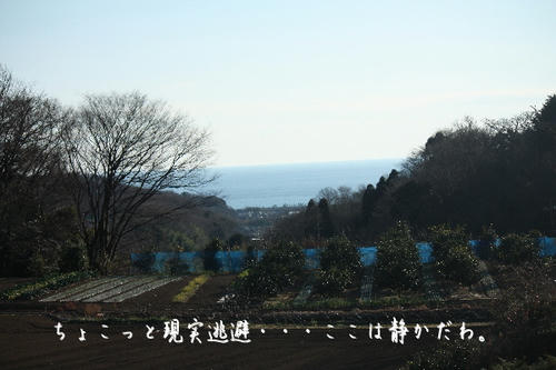 e0a250d9.jpg