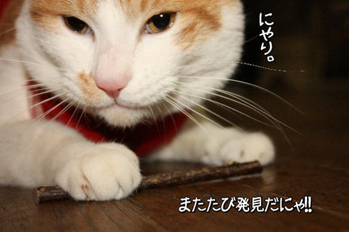 67f14372.jpg