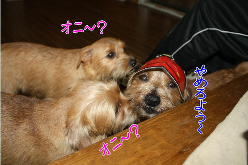 6ffe0923.jpg