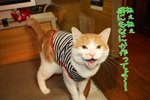 0aad70f9.jpg