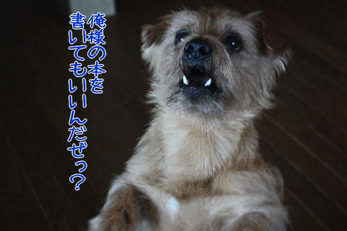 01d5431c.jpg