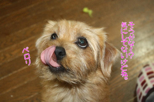 気にしてないんよ