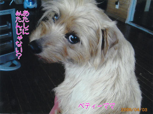 ベティー
