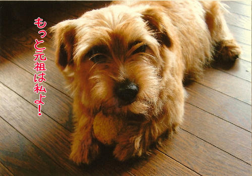 adfbb960.jpg