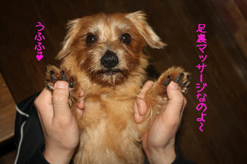 c42f2485.jpg