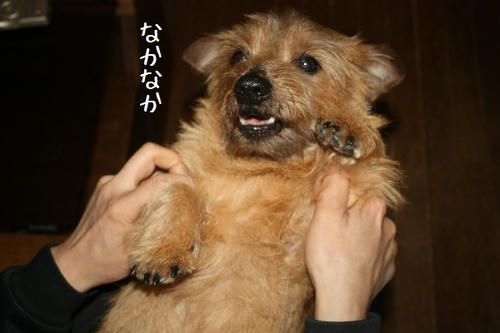 16d30a47.JPG