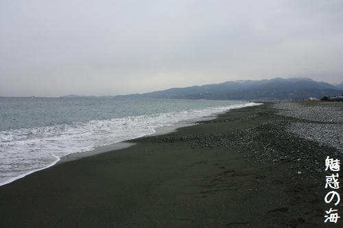 IMG_1638.JPG