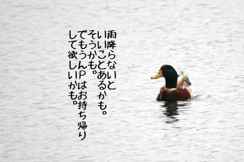 IMG_1864.JPG