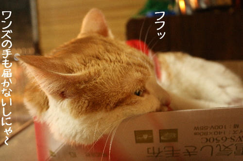 5bb065cd.jpg