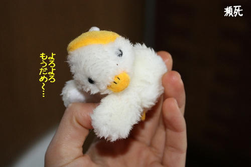c9170fb8.jpg