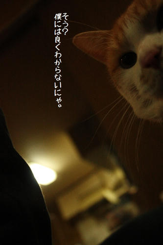 fb082b95.jpg