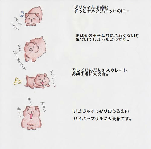 image-1.jpg