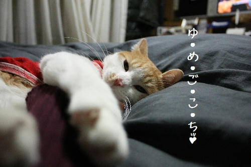 8572a37f.jpg
