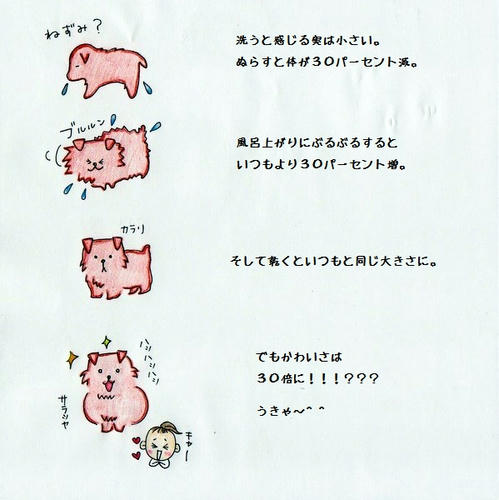image-5.jpg
