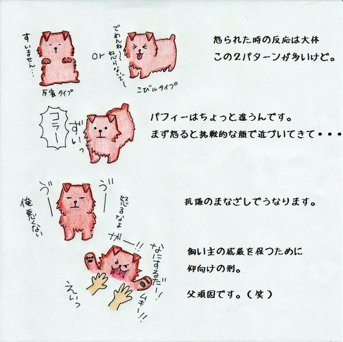 image-6.jpg
