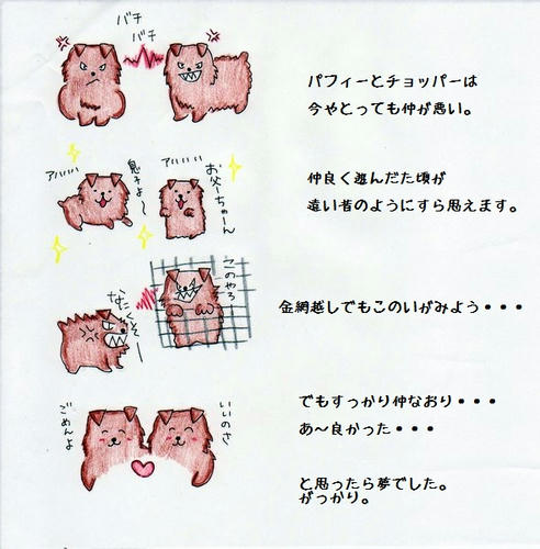 image-8.jpg