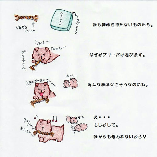 image-9.jpg