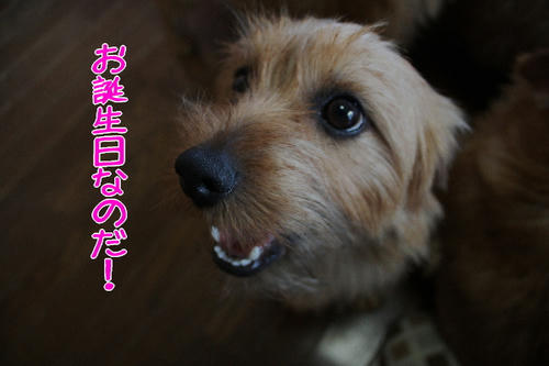 c276707a.jpg