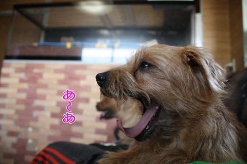 640375ac.jpg