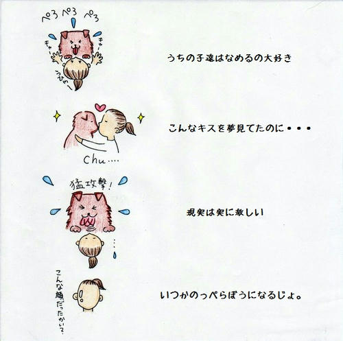image-12.jpg