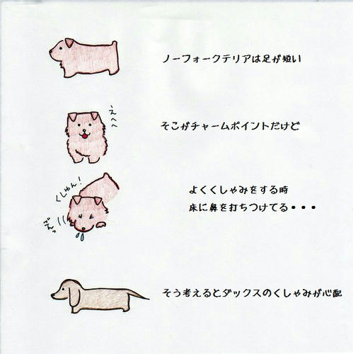 image-14.jpg