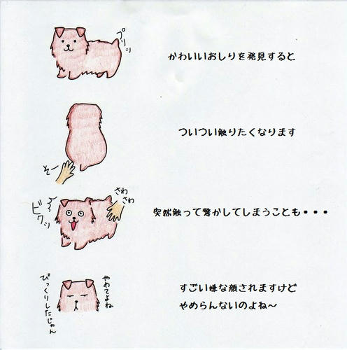 image-15.jpg