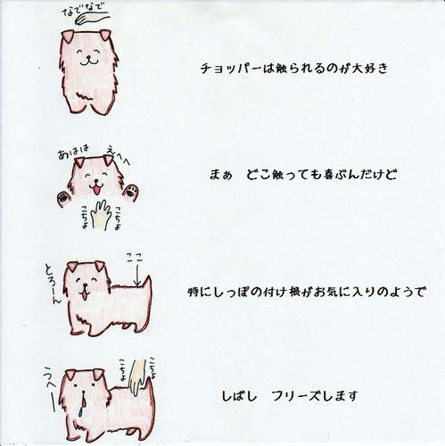 image-16.jpg