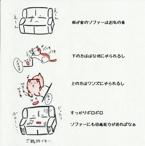 image-17.jpg