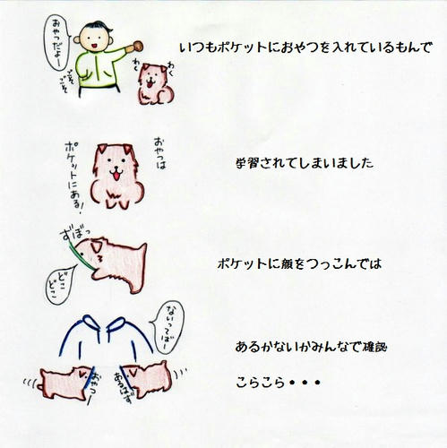 image-19.jpg