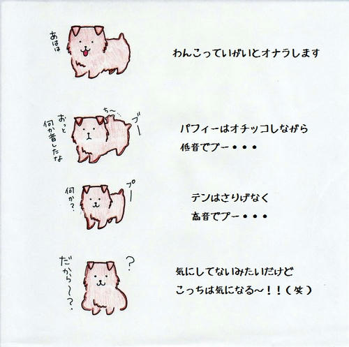 image-22.jpg