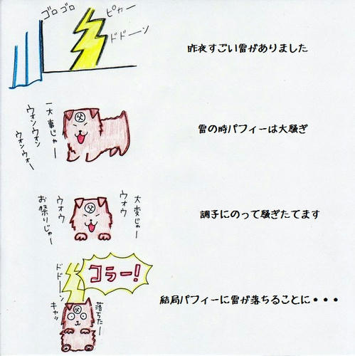 image-25.jpg