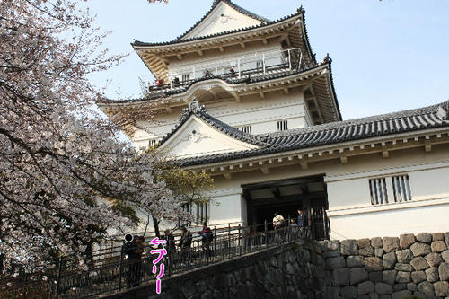 c0296507.jpg
