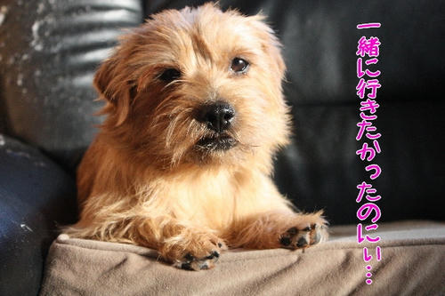 6f3f398d.jpg