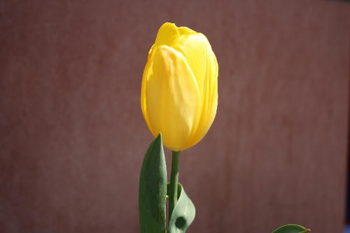 IMG_5990.JPG