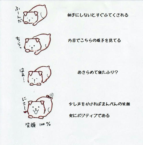 image-30.jpg
