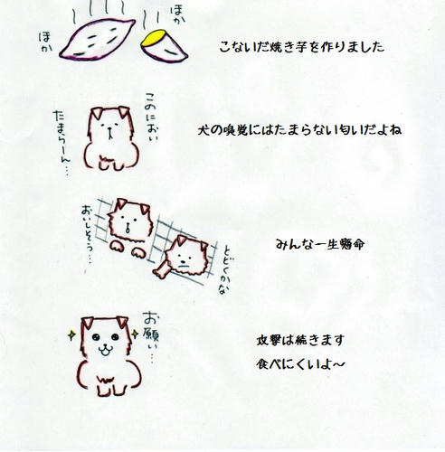 image-31.jpg