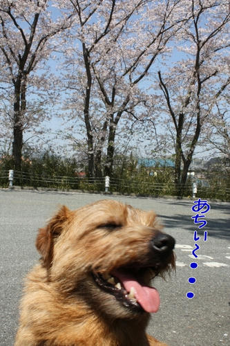 48ff1a76.jpg