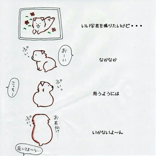 image-33.jpg