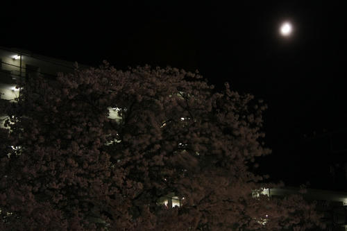 IMG_5791.JPG