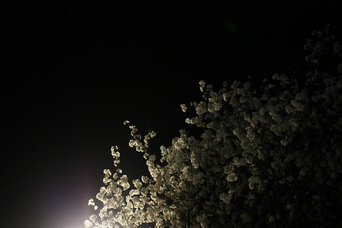 IMG_5821.JPG