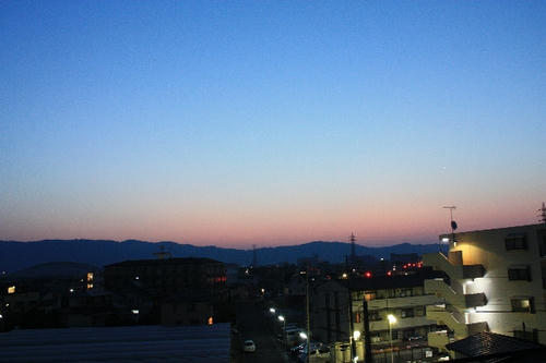 IMG_7030.JPG