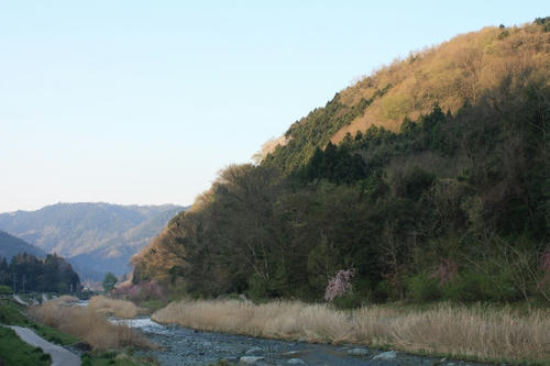 IMG_7120.JPG