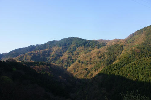 IMG_7269.JPG