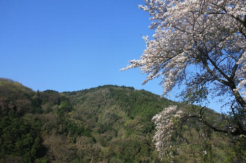 IMG_7287.JPG