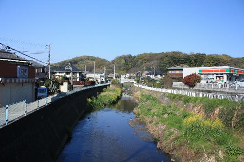 IMG_6589.JPG