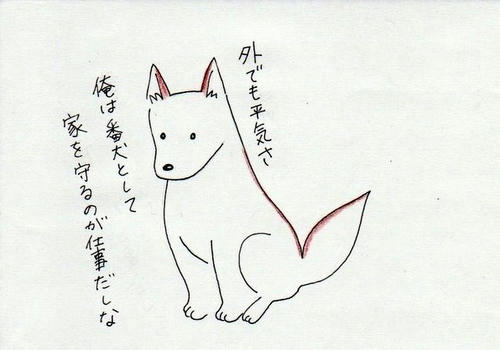 image-37.jpg
